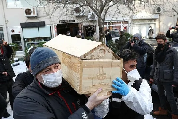 SON DAKİKA: Prof. Dr. Doğan Cüceloğlu'nun ölüm nedeni belli oldu! Beşiktaş'taki evinde bulunmuştu...