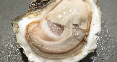 Bağırsak sağlığı uzmanının asla yemediği 4 yiyecek! Market raflarında görünce hemen uzaklaşın...