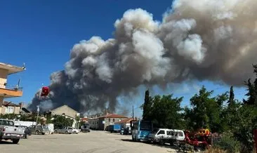 Çanakkale'deki yangının çıkış nedeni belli oldu #canakkale