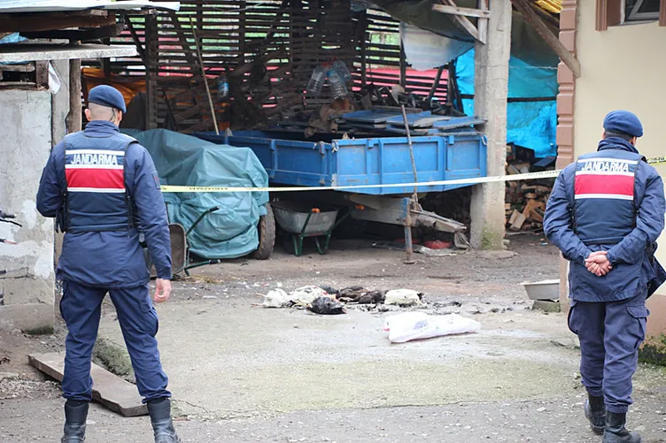 Annesine sinirlendi: Cinnet getiren oğul, eline aldığı tüfekle dehşet saçtı!