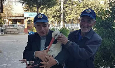 Yaralı leyleğe yardım eli