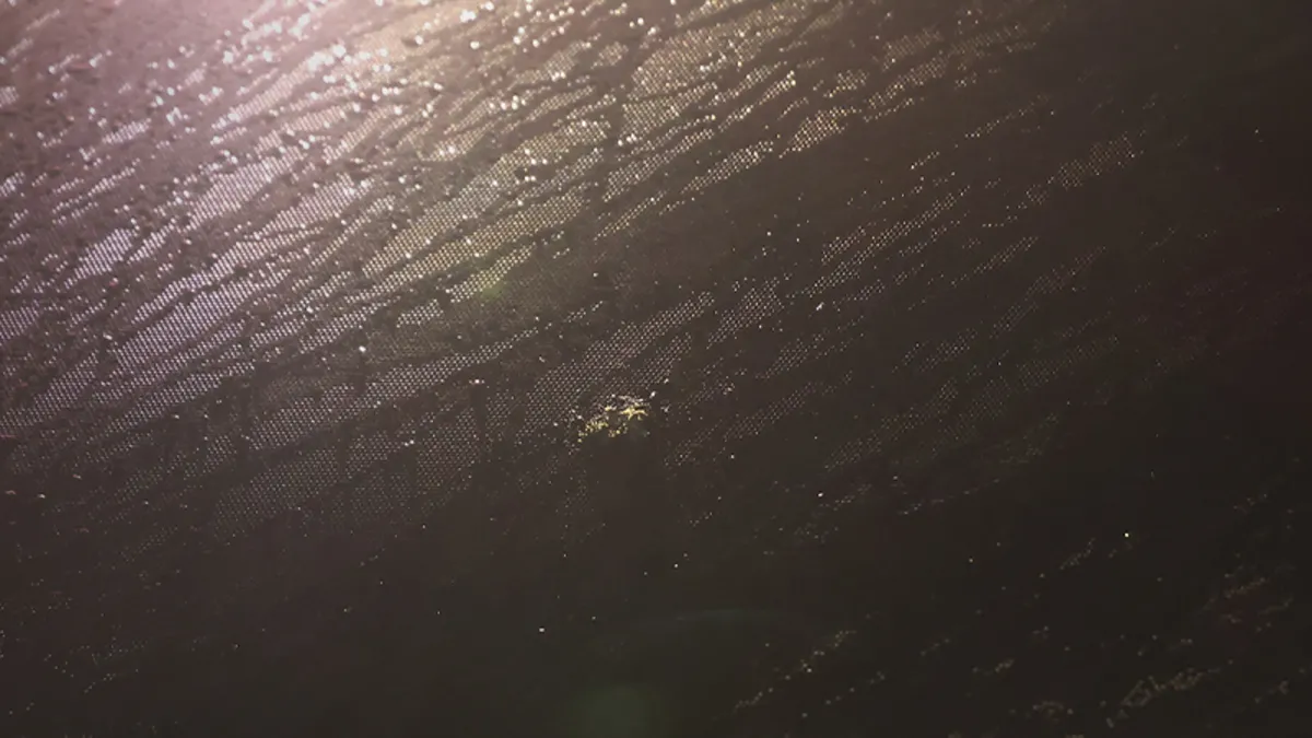 Trabzonspor takım otobüsüne Samsun’da taşlı saldırı! Trabzonspor takım otobüsüne Samsun’da taşlı saldırı!