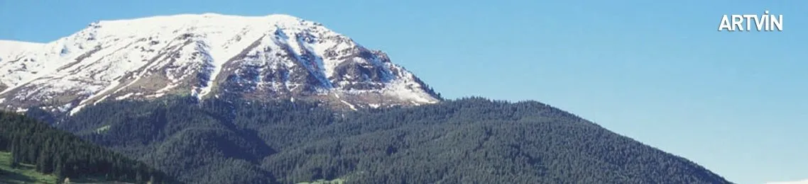 son dakika artvin haberleri