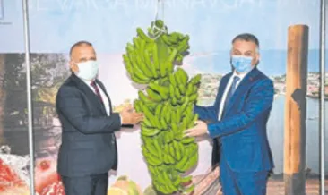 Tropikal ürünler bölge için önemli