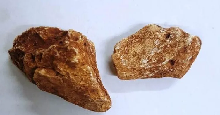 İnternetten araştırınca fark etti! Tam 40 milyon yıllık... 4 adet bulundu