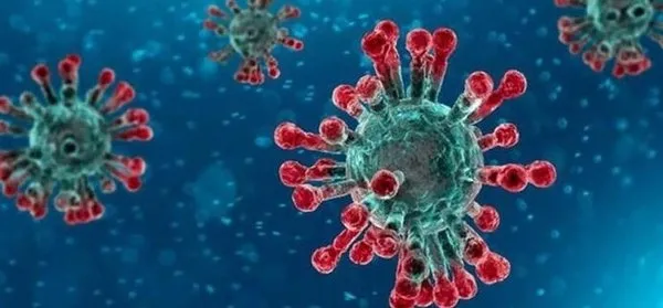 Son Dakika Haberi Corona Viruste Kan Donduran Gelisme 3 Yasindaki Cocuk Birkac Saat Icinde Felc Gecirdi Son Dakika Haberler