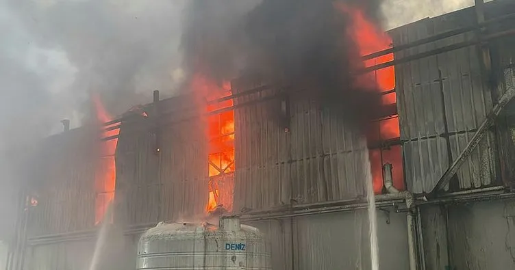 Son dakika | Kocaeli’de geri dönüşüm fabrikasında yangın! Çok sayıda ekip sevk edildi