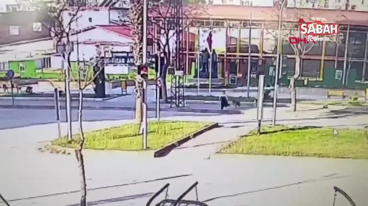 Ekmek almaya çıktı; köpeklerden kaçarken otomobil çarptı | Video