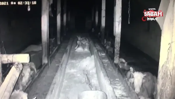 Kayseri deprem son dakika 2021