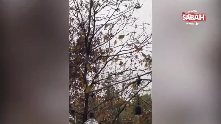 8 yıllık evliliğini tek celsede sonlandırmıştı! Bülent Şakrak’ın boşandıktan sonra yaşadığı o ev!