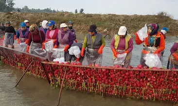 Ve yeni sezon başladı! Kapış kapış gidiyor...
