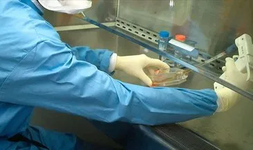 Almanya’da ikinci Kovid-19 aşısı test izni CureVac’a verildi