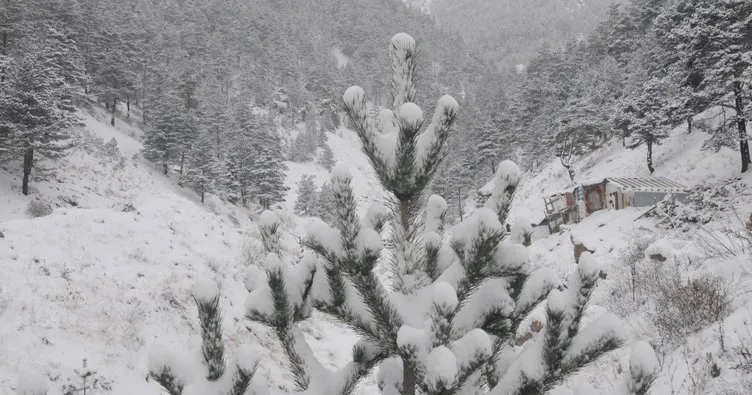 Doğu Karadeniz Bölgesi beyaza büründü