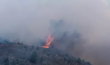 Ankara’da korkutan orman yangınıyla ilgili yeni gelişme: 1 şüpheli gözaltına alındı #ankara
