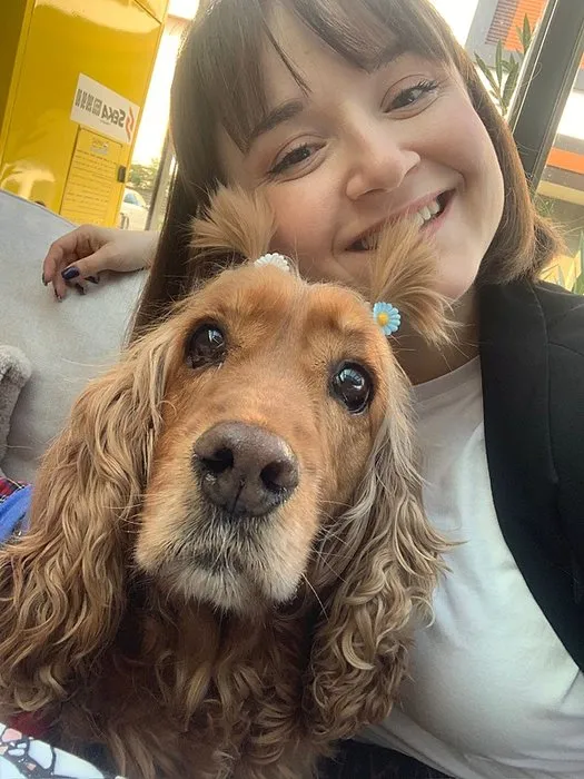 4 köpeğin saldırısına uğrayan köpek telef oldu: Sahibi ise yaralandı!