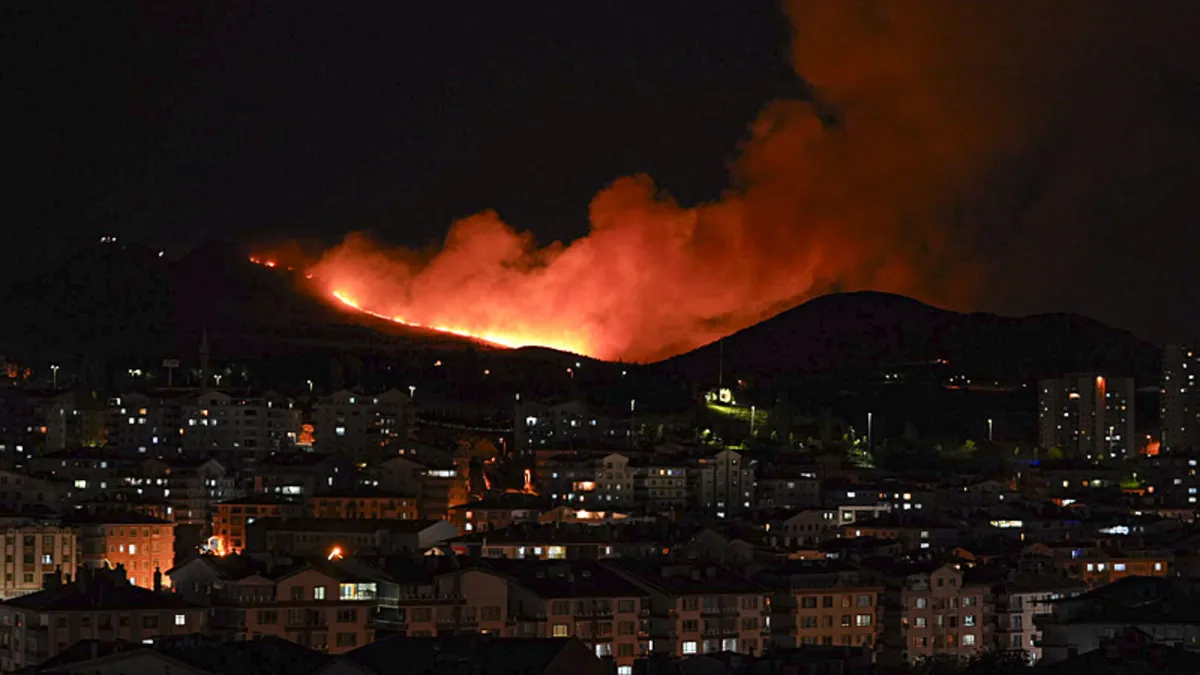 Ankara'da ağaçlık alanda yangın! Ekipler müdahale ediyor