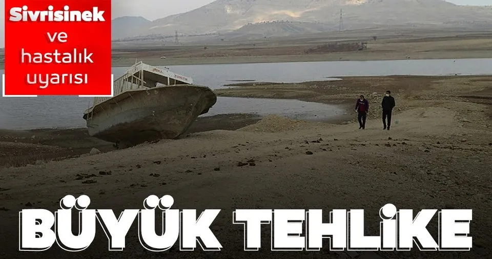 SON DAKİKA HABERLER: Büyük tehlike uyarısı! Sivrisinek ve hastalık artışı olabilir