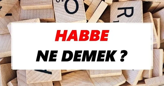 Habbe Ne Demek? TDK’ya Göre Habbe Sözlük Anlamı Nedir?
