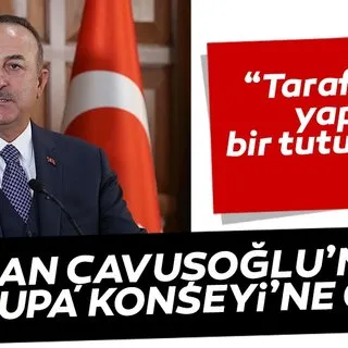 Bakan Çavuşoğlu'ndan Avrupa Konseyi'ne çağrı