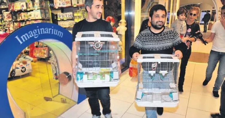 ‘Geri dönüşü bize pahalıya patlayabilir