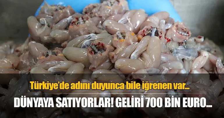 Adana’dan dünyaca ünlü restoranlara kurbağa bacağı