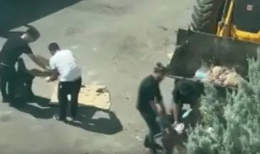Ölü koyunun karnında uyuşturucu sevkiyatı polise takıldı: 1 gözaltı! #diyarbakir