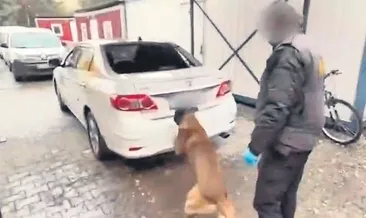 Zero’dan tam isabet