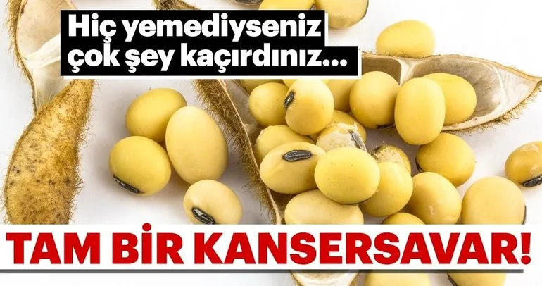 Kansersavar bu besini yemeyen bin pişman olur! İşte kanser düşmanı besinler ve diğer faydaları...