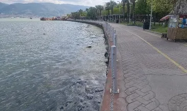 Sahilde korkutan görüntü: Her yeri sardı...