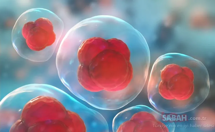 Kansere karşı genetiği değiştirilmiş akıllı hücreler geliyor!