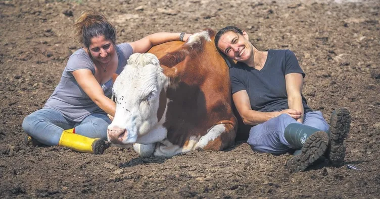 Kentten kırsala bir öze dönüş hikayesi