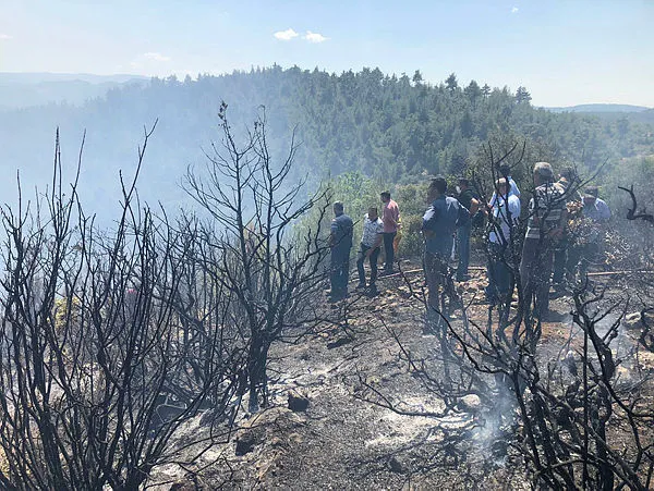 Son dakika: Haberler peş peşe geldi! İstanbul, İzmir, Gaziantep, Aydın ve Balıkesir'de yangın çıktı! Müdahale sürüyor...