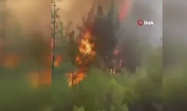 Orman yangınında orman genel müdürlüğü personellerinin ölüm kalım savaşı:
