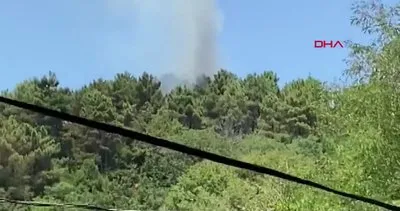 İstanbul Beykoz’da ormanlık alandaki yangın kamerada