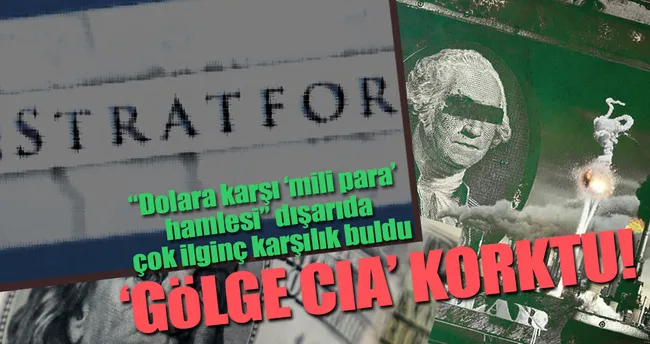 Gölge CIA Stratfor korkmaya başladı