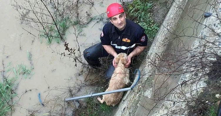 Dereye düşen köpeği itfaiye ekipleri kurtardı