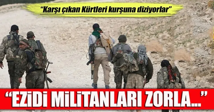 PKK, Sincar’dan Afrin’e militan gönderiyor