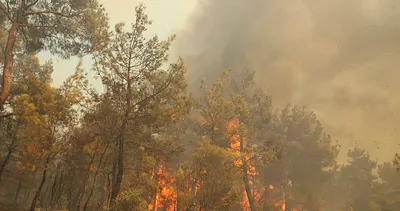 Çanakkale’de alevlerle mücadele aralıksız sürüyor! Bakan Yumaklı duyurdu: O bölgede yangın kontrol altında