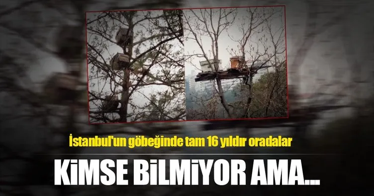 İstanbul’un göbeğinde tam 16 yıldır bunu yapıyorlar