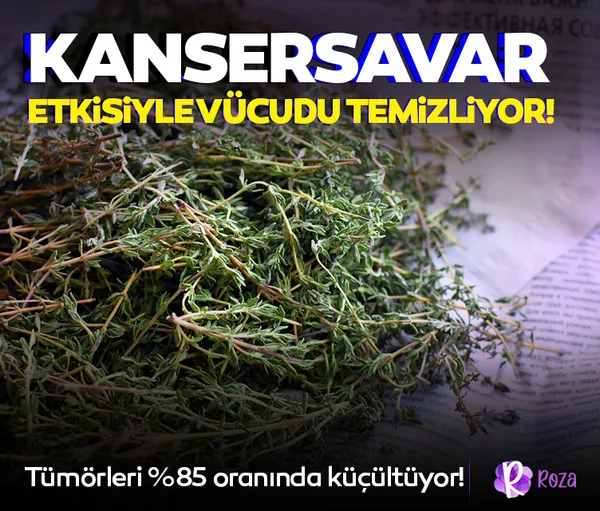 israf-olmasin-diye-kendi-sutunu-icti-binlerce-kisinin-tepkisini-cekti-kendi-sutumun-tadi-1672233235418.jpg https://www.sabah.com.tr/roza/saglik/bu-bitki-adeta-kansersavar-tumorleri-85-oraninda-kucultme-gucune-sahip