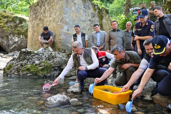 Artvin de Hatila Vadisi ne 5 Bin Alabal k Yavrusu B rak ld Artvin artvin-de-hatila-vadisi-ne-5-bin-alabal-k-yavrusu-b-rak-ld-artvin