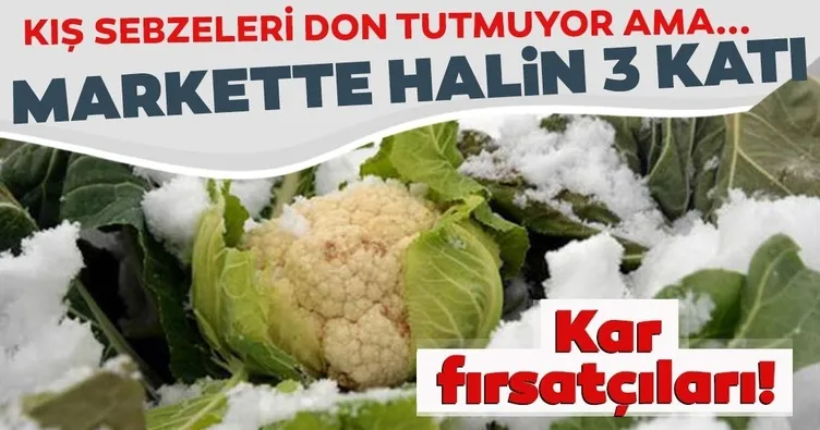 Kış sebzelerinde don fırsatçılığı