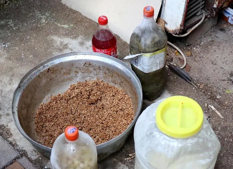 Midye Dolma Cuvallari Kumesten Cikti Sayfa 4 En Son Haber