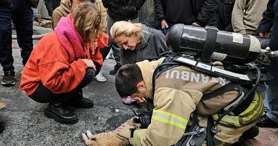 Beyoğlu’nda panik anları: Kediyi kalp masajıyla kurtardı!