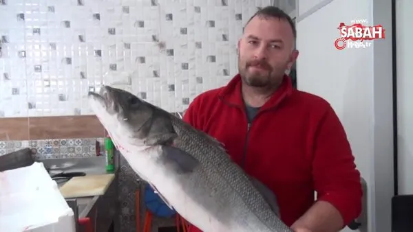 Balıkçılara 8 kilogramlık levrek sürprizi