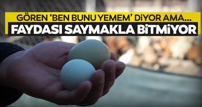 mavi ve yesil yumurtalar saskina cevirdi tek farklari renkleri degil son dakika haberler