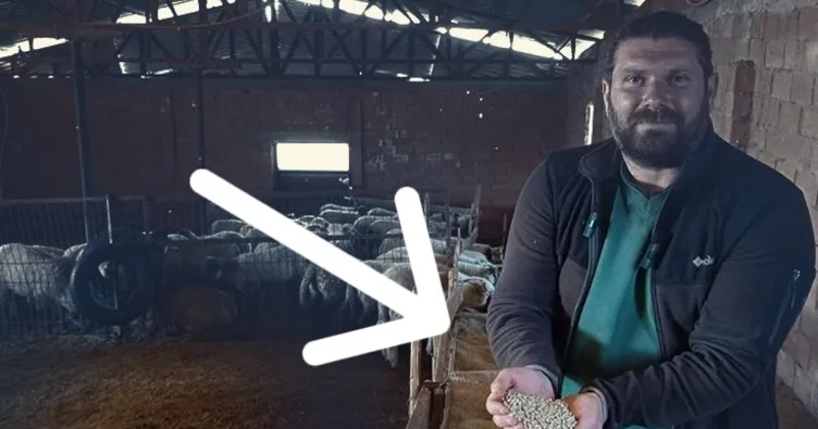 KOSGEB’den destek aldı! Tesisini kurdu: Günde 2 ton...