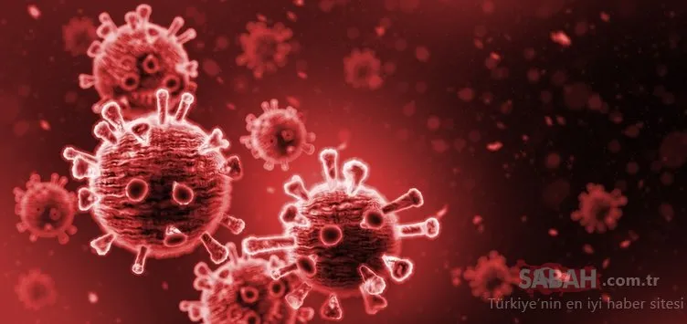 Koronavirüs (Kovid-19) bulaşıcılığını engelleyen ilaç bulundu! Corona virüsün yayılımını 24 saat için durduruyor