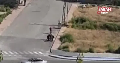 Mahallelinin elinden kaçan köpek sokaktaki gence böyle saldırdı | Video