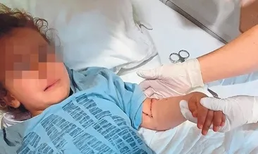 Muğla’da köpek dehşeti! Küçük çocuk ölümden döndü